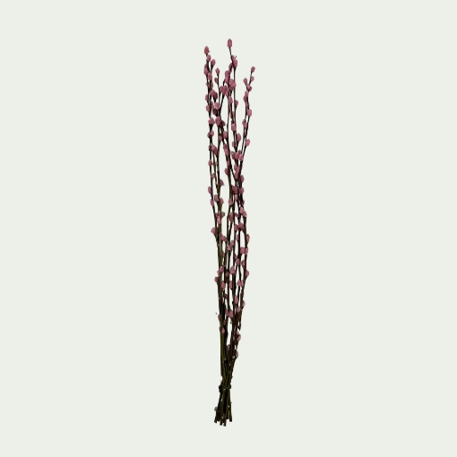 Picture of Willow Pink