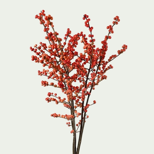 Picture of Ilex Orange Simple 