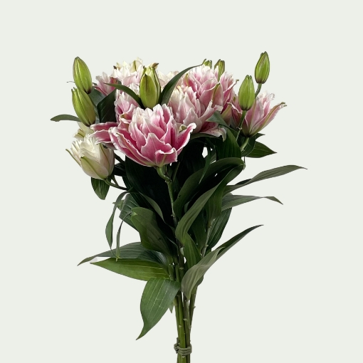 Picture of Small Roselily Samantha Simple
