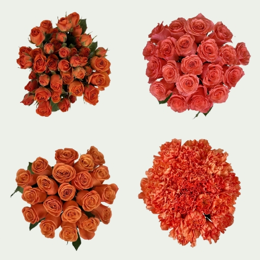 Picture of Flame