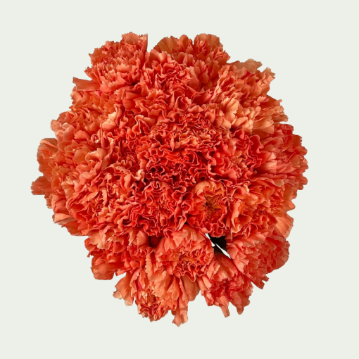 Picture of Flame