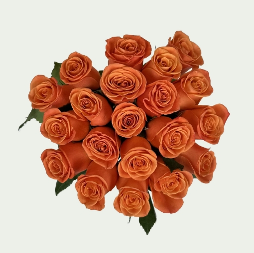 Picture of Flame