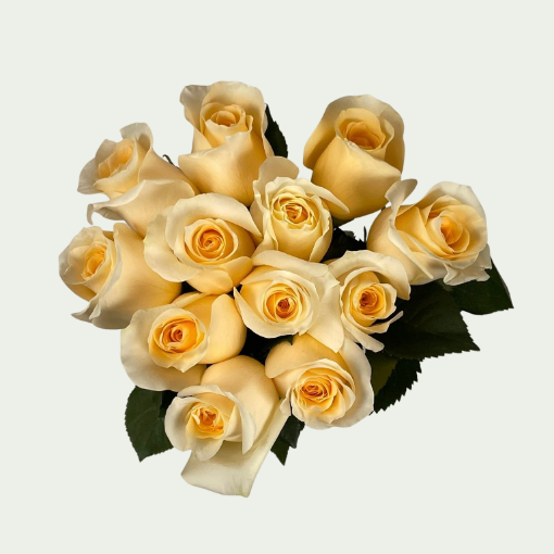 Picture of Creme de la creme S