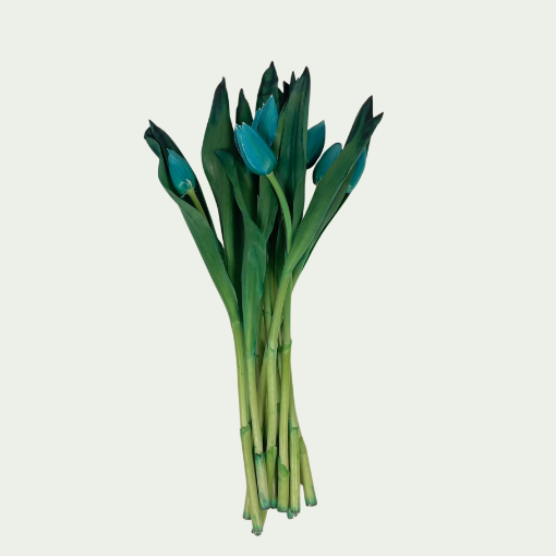 Picture of Tiffany Blue