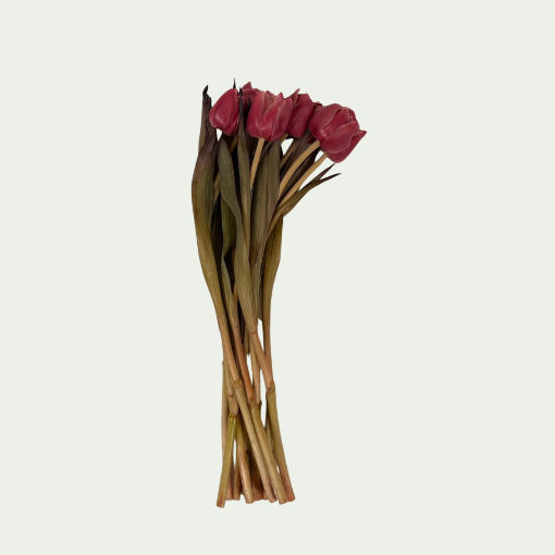 Picture of Double Terracotta