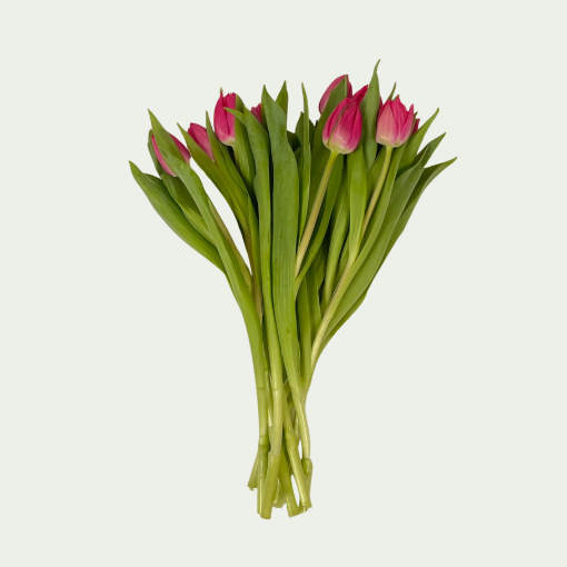 Picture of Double Heart