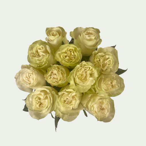 Picture of Moonstone S
