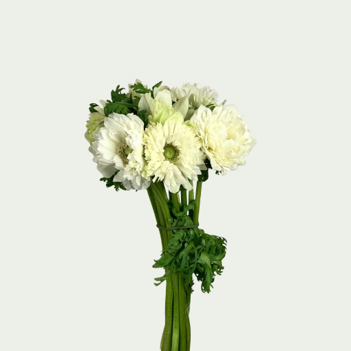 Picture of Fullstar White