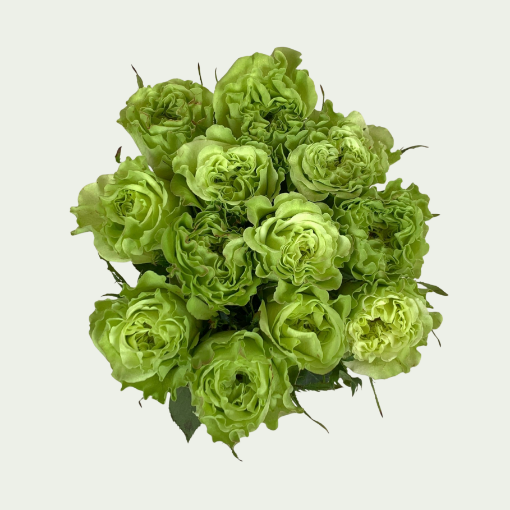Picture of Super Green S