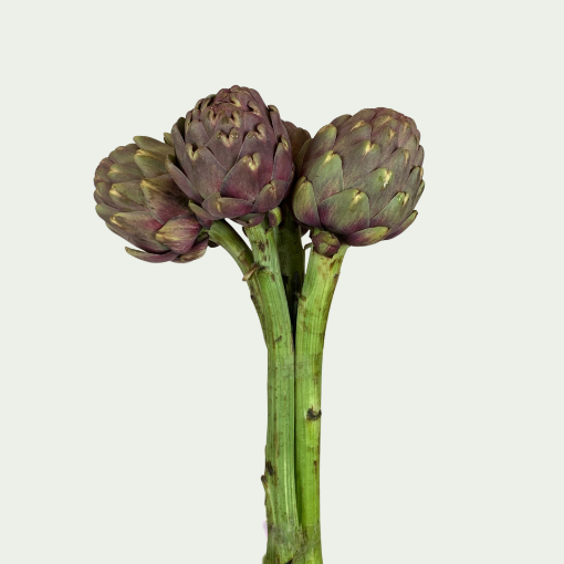 Picture of Artichoke