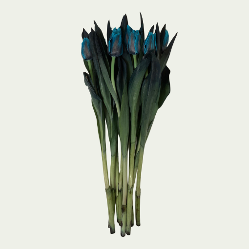 Picture of Navy Blue