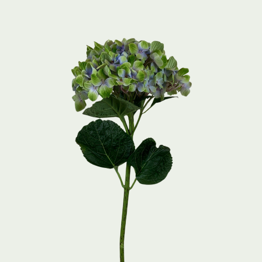 Picture of Amathyst