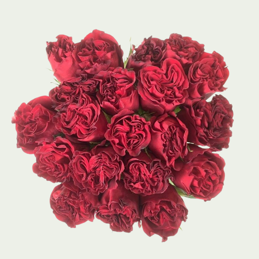 Picture of Hearts