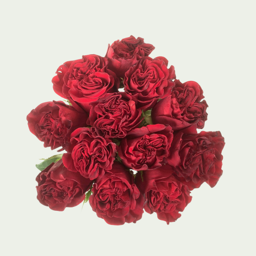 Picture of Hearts S
