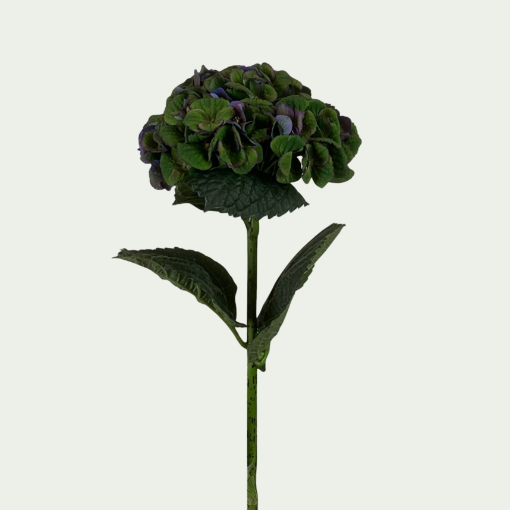 Picture of Charelotte Green