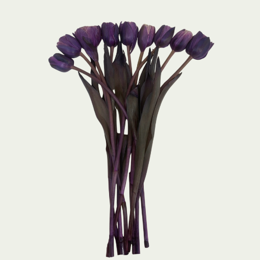 Picture of Double Violet