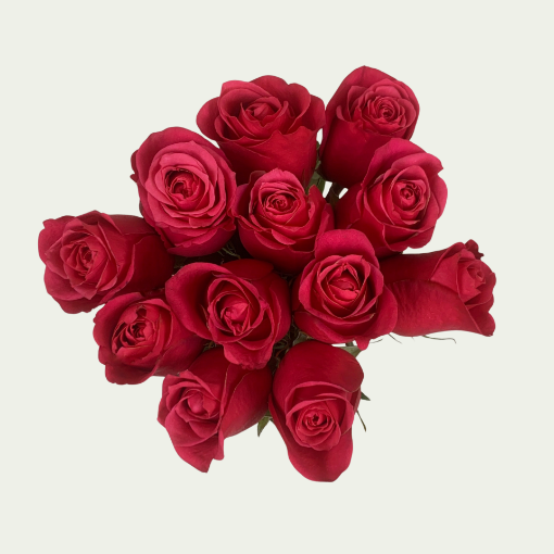 Picture of Cherry Oh S