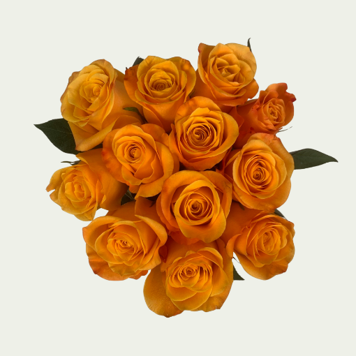 Picture of Aloha S