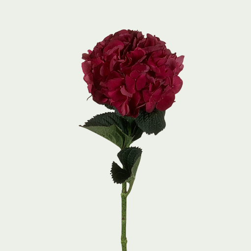 Picture of Red Ruby