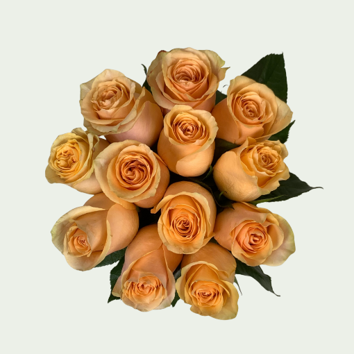 صورة نكتارين ص