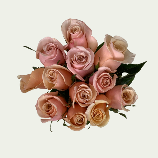 صورة موذر اوف بيرل ص