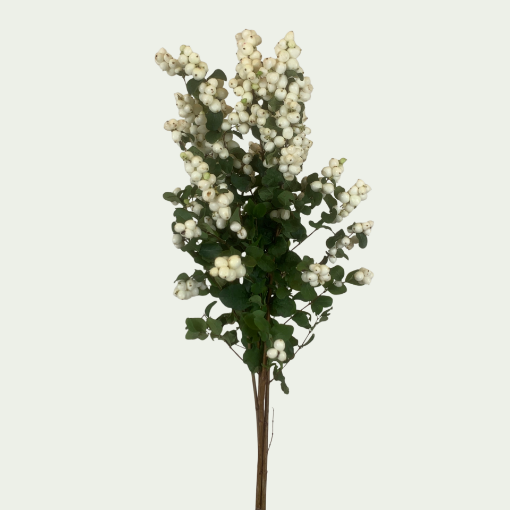 Picture of Magical White