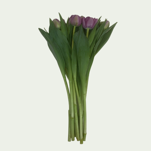 Picture of Double Saigon