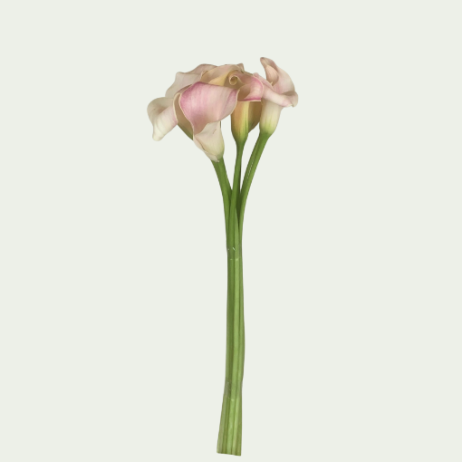 Picture of Blushing Lady