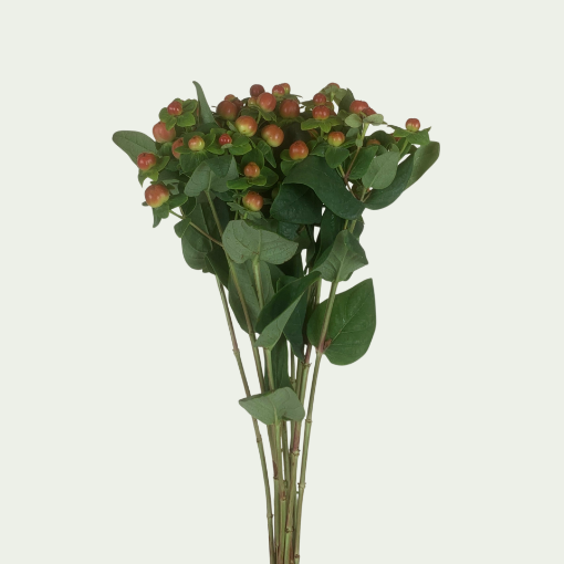 Picture of Magical Orange